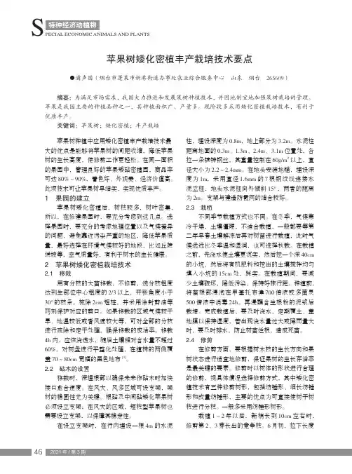 苹果树矮化密植丰产栽培技术要点