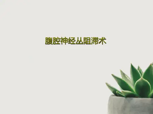 腹腔神经丛阻滞术共21页