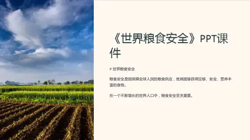 《世界粮食安全》课件