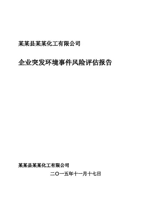 某某化工有限公司环境风险评估报告