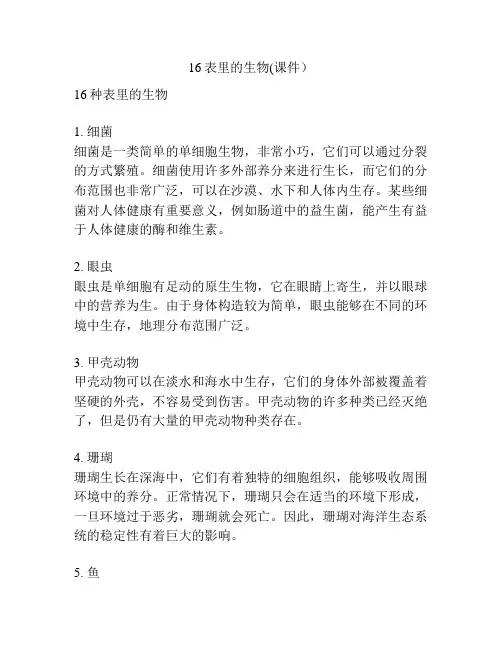 16表里的生物(课件)