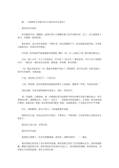 成长路上的阳光满分作文