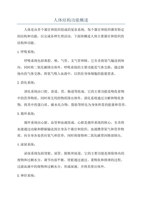 人体结构功能概述