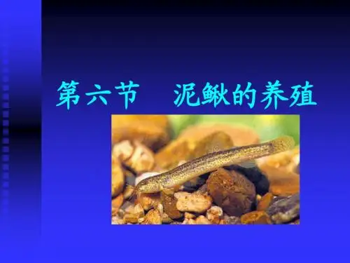 第二节 泥鳅养殖
