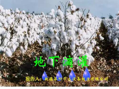 滴灌课件.ppt