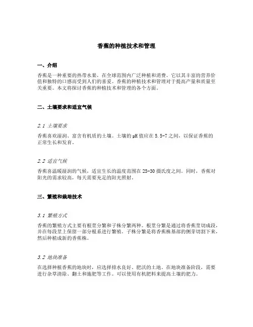 香蕉的种植技术和管理