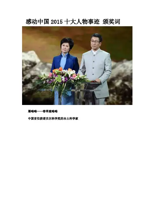 感动中国2015十大人物事迹 颁奖词