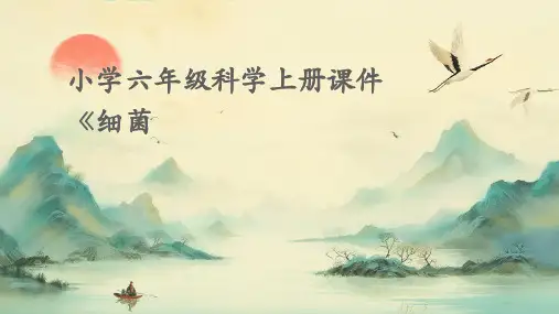 小学六年级科学上册课件《细菌