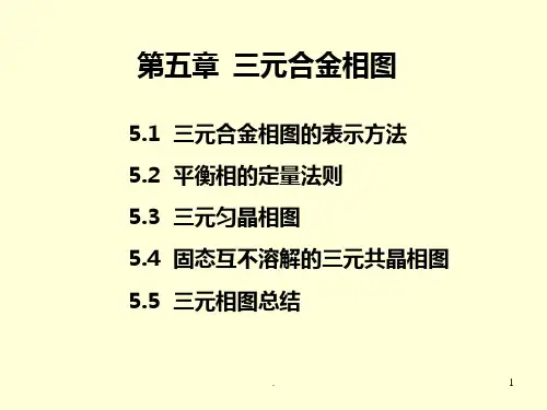 三元合金相图PPT课件