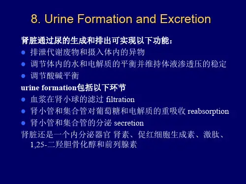 动物生理学8.尿的生成与排出-92页文档资料
