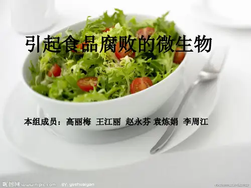 使食品腐败的几种微生物