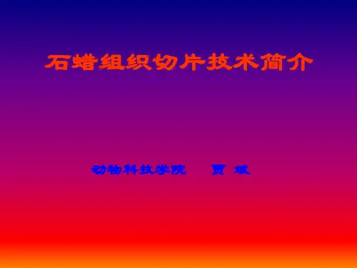 石蜡组织切片技术简介