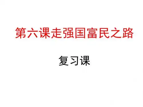鲁教版九年级政治第六课 走富强之路 复习课件(共17张PPT)
