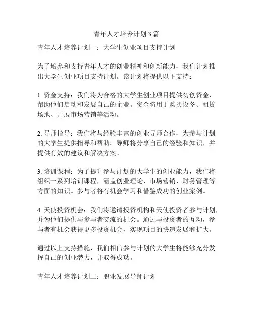 青年人才培养计划3篇