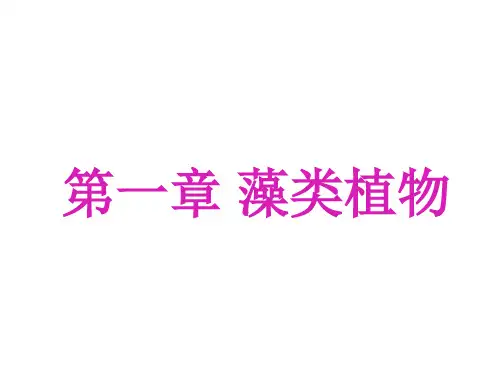 第一章 藻类植物
