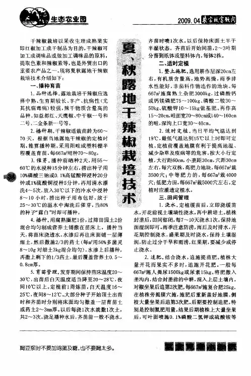 夏、秋露地干辣椒栽培技术