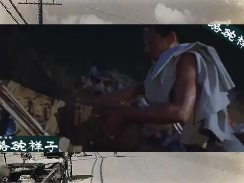《骆驼祥子》名著导读圈点和批注