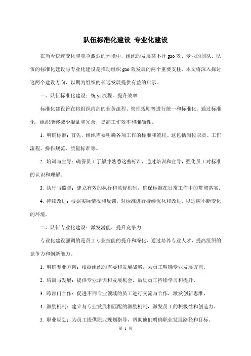 队伍标准化建设 专业化建设