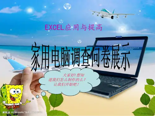 家用电脑调查问卷(EXCEL制作) 共22页PPT资料