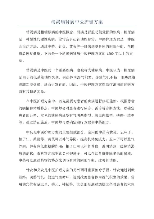 消渴病肾病中医护理方案
