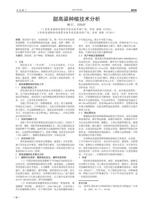 甜高粱种植技术分析