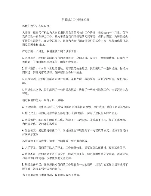 河长制月工作情况汇报