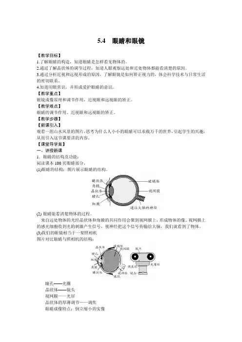 眼睛和眼镜教学设计