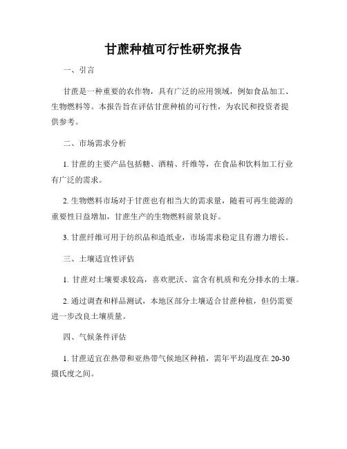 甘蔗种植可行性研究报告