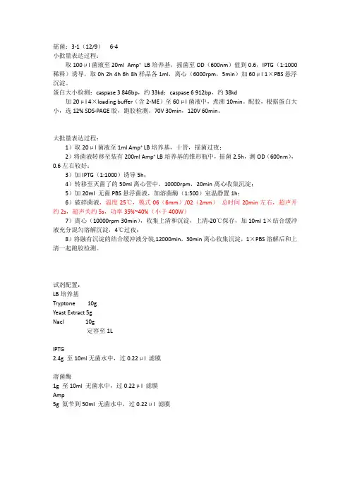 原核蛋白纯化步骤