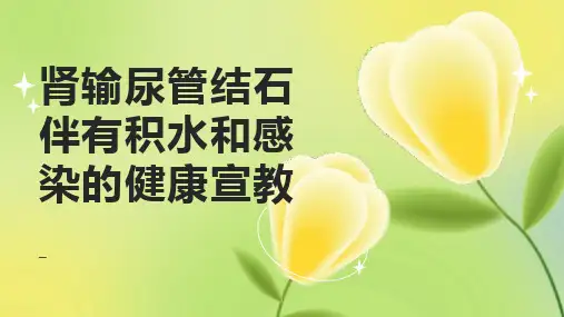 肾输尿管结石伴有积水和感染的健康宣教