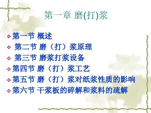 造纸工艺-打浆工艺