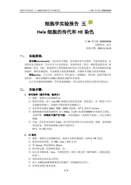细胞学实验报告5_Hela细胞的传代和HE染色