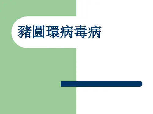 兽医课件-猪圆环病毒感染