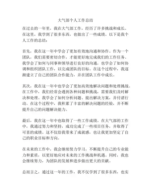 大气部个人工作总结