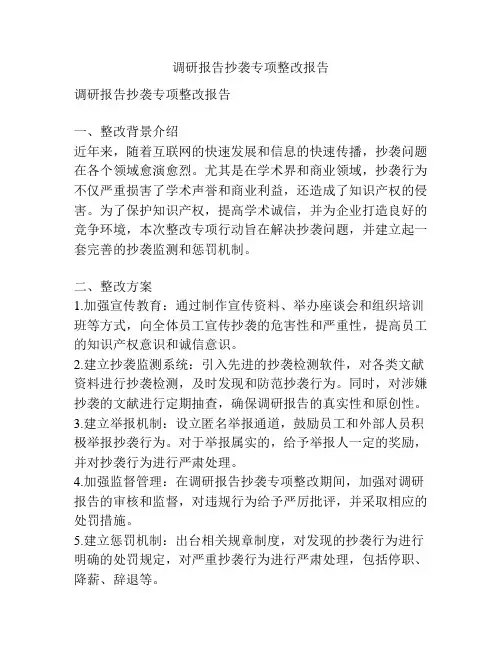 调研报告抄袭专项整改报告