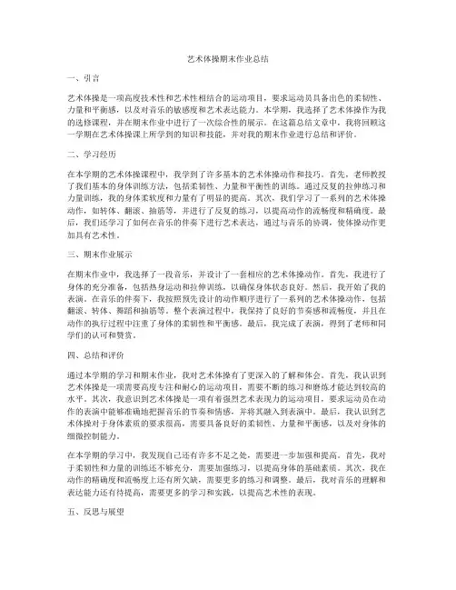 艺术体操期末作业总结