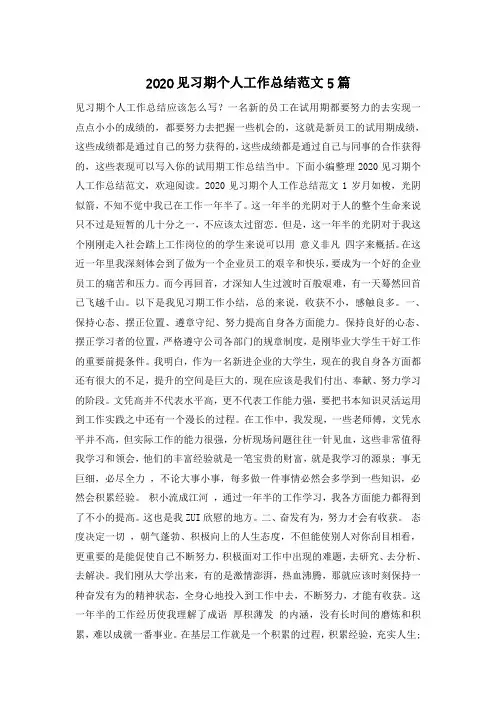 2020见习期个人工作总结范文5篇