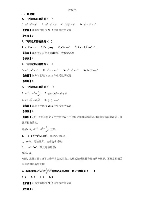 2018年中考数学知识分类汇编《代数式》