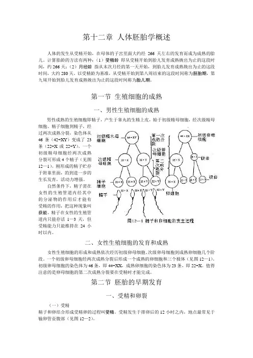 第十二章 人体胚胎学概述1