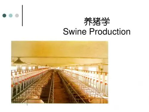 02猪的生物学特征