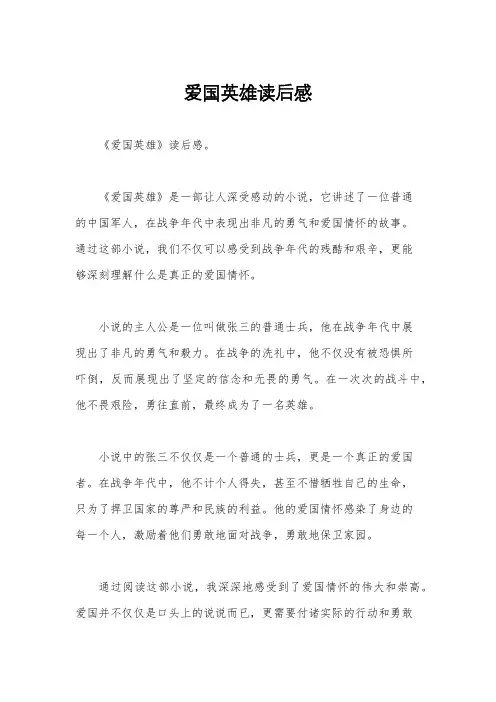 爱国英雄读后感