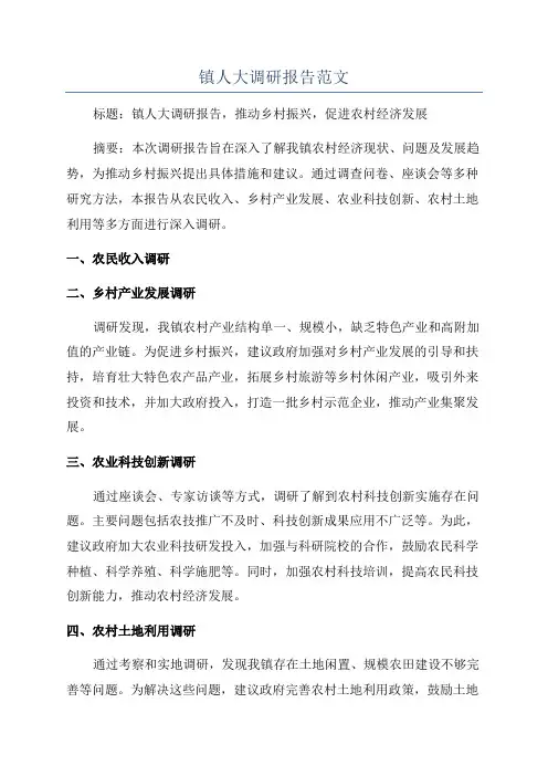 镇人大调研报告范文