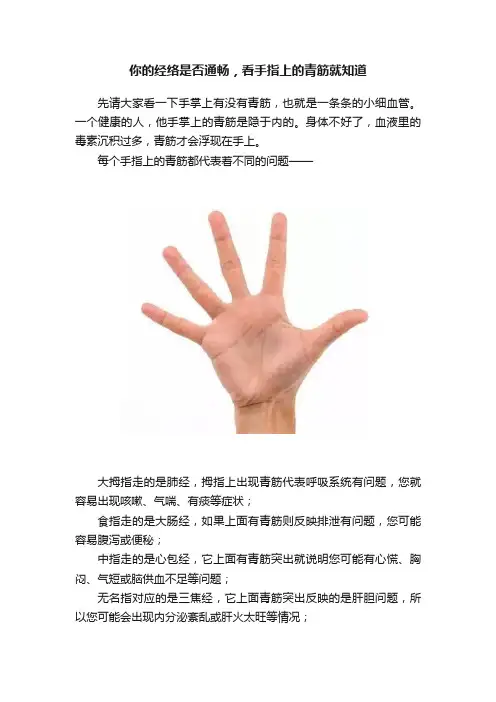 你的经络是否通畅，看手指上的青筋就知道