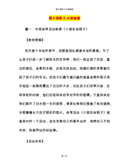 稻子和麦子,中班教案