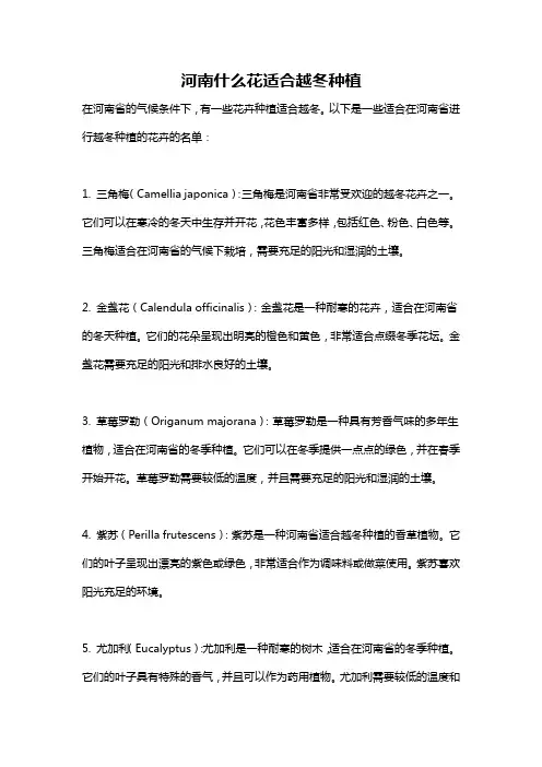 河南什么花适合越冬种植