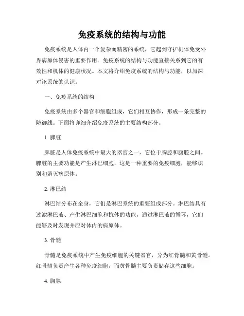 免疫系统的结构与功能