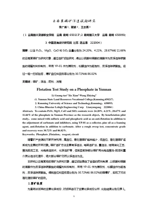 云南某磷矿选矿试验研究