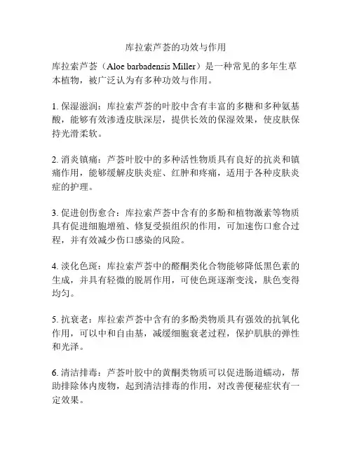 库拉索芦荟的功效与作用