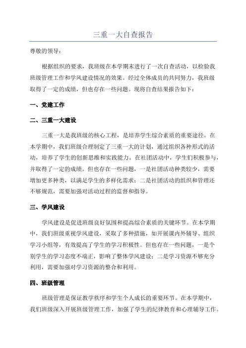 三重一大自查报告