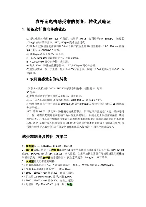农杆菌电击感受态的制备,转化及验证